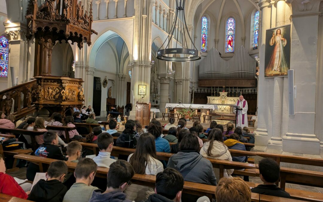 PXL_20241203_122117047