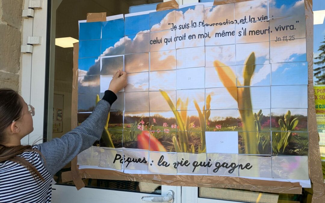 PXL_20250513_120019657