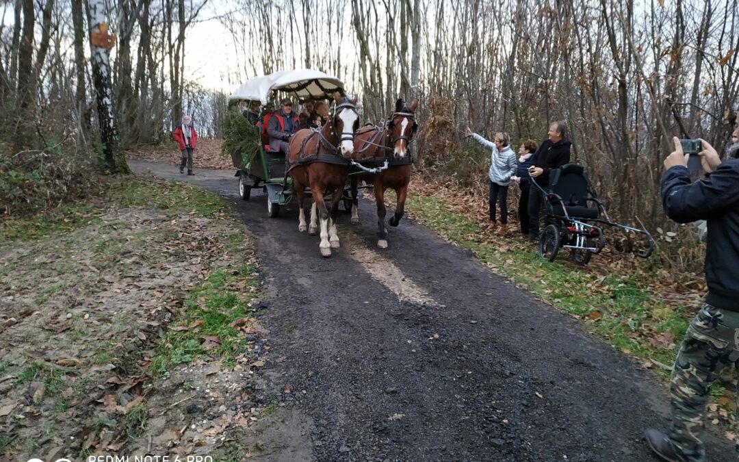 Joelette_7eme_sortie (4)